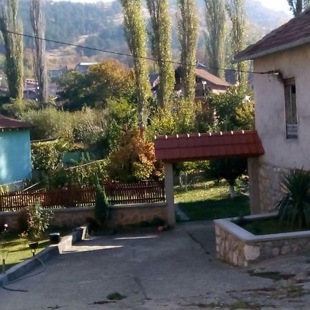 Guest House Green View Pirot Dış mekan fotoğraf