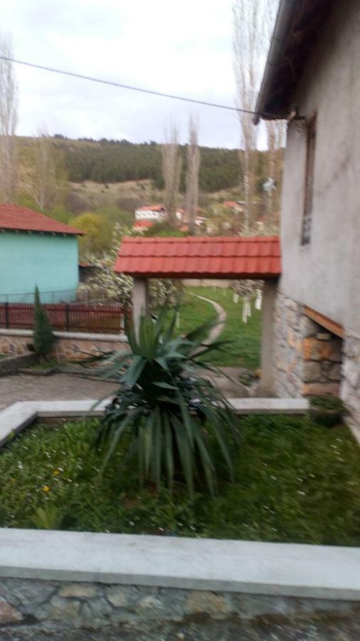 Guest House Green View Pirot Dış mekan fotoğraf