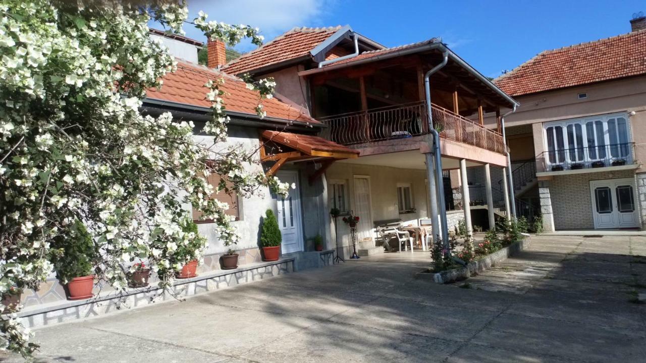 Guest House Green View Pirot Dış mekan fotoğraf
